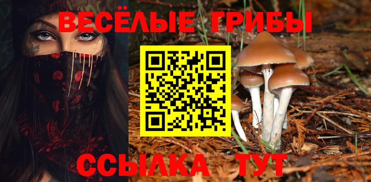 Галлюциногенные грибы Psilocybine cubensis  Вход с VPN  Ачинск 